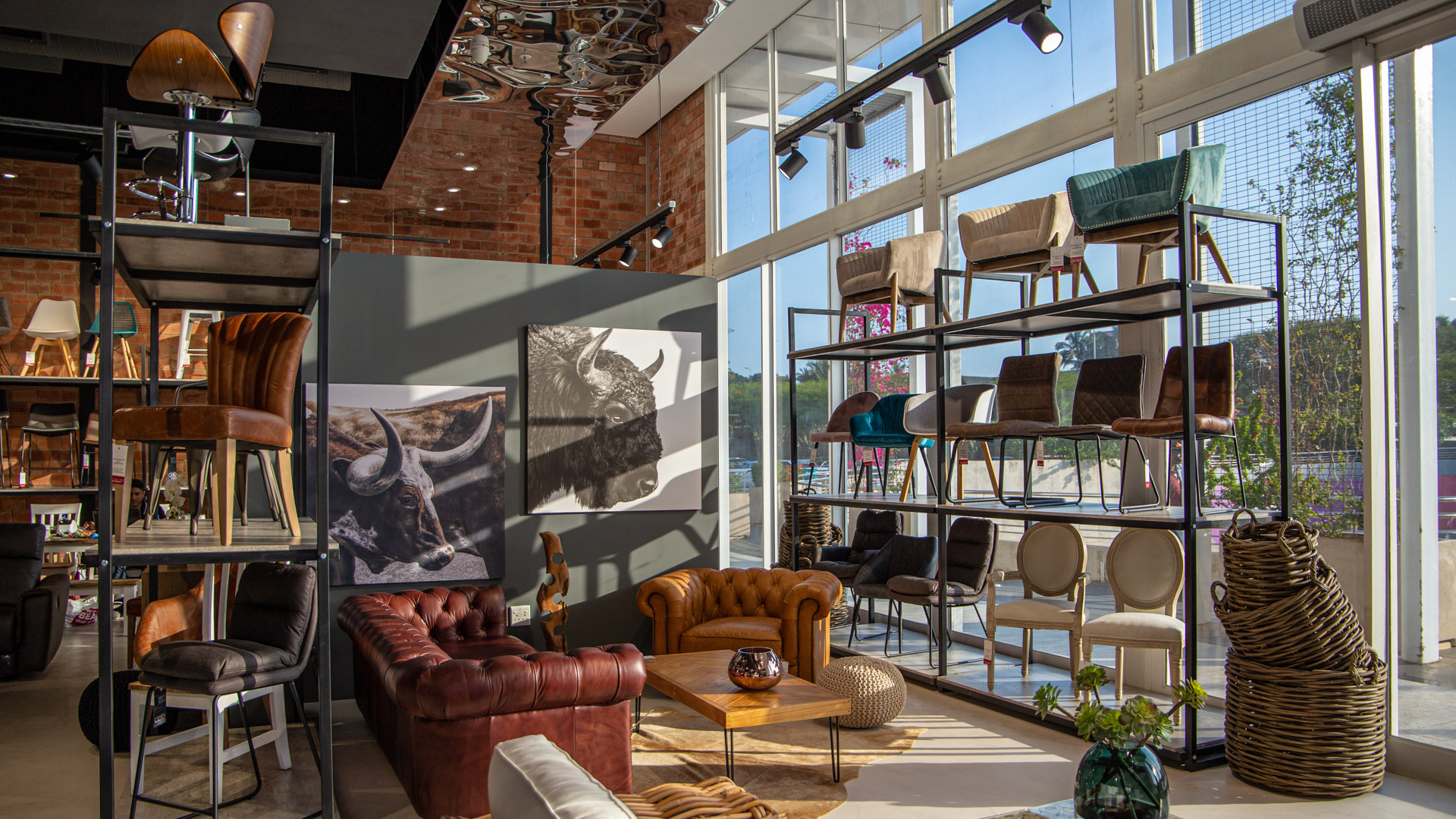 Cielo Online Furniture Store South Africa